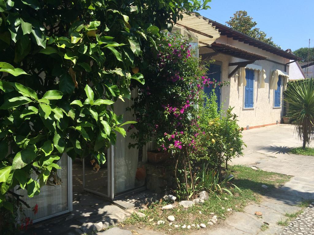 Il Nido sul mare a Forte dei Marmi Cameră foto
